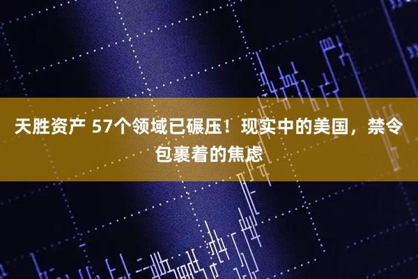天胜资产 57个领域已碾压！现实中的美国，禁令包裹着的焦虑