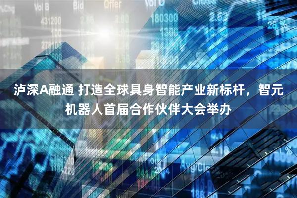 泸深A融通 打造全球具身智能产业新标杆，智元机器人首届合作伙伴大会举办